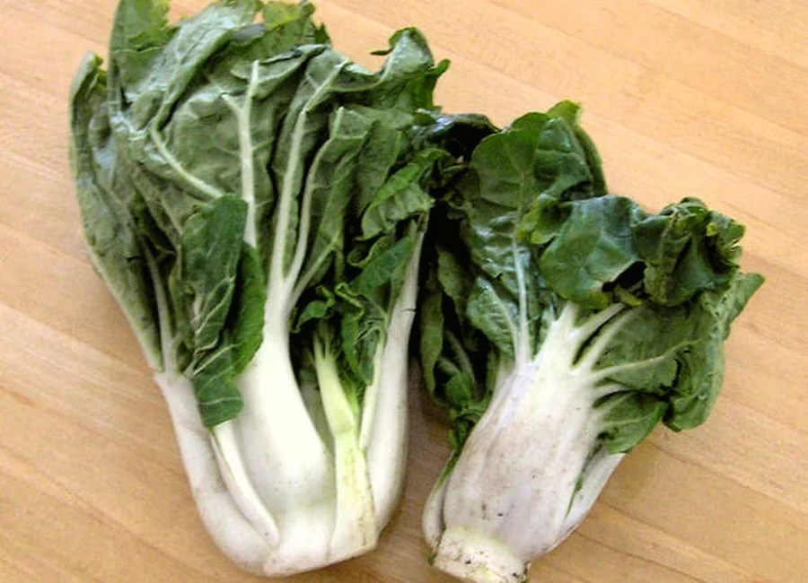 新鮮蔬菜